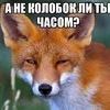 freechizh